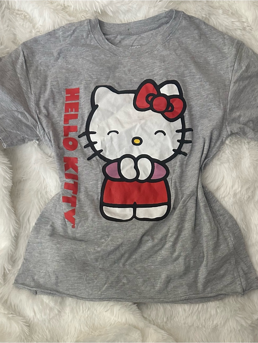 Hello kitty graphic tee for girls/ women